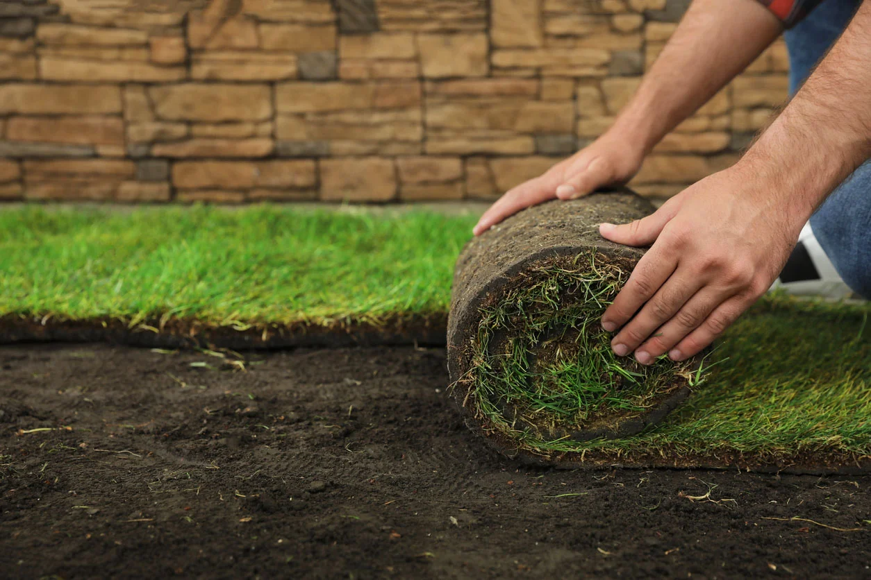 Sod Installation Services Image